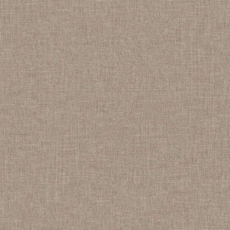 Insight #28 Cocoa