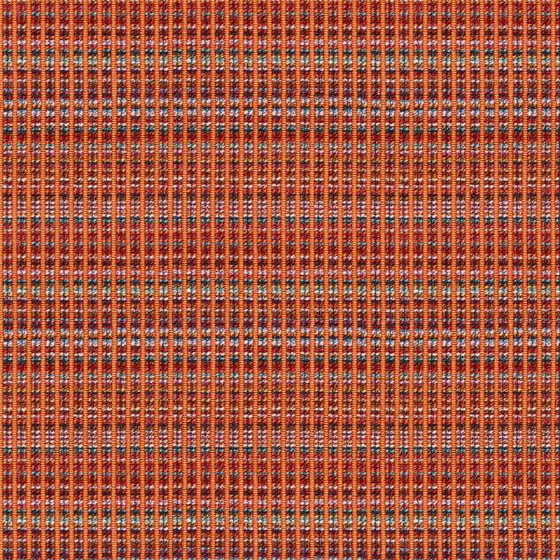 Evolution #5 Tangerine