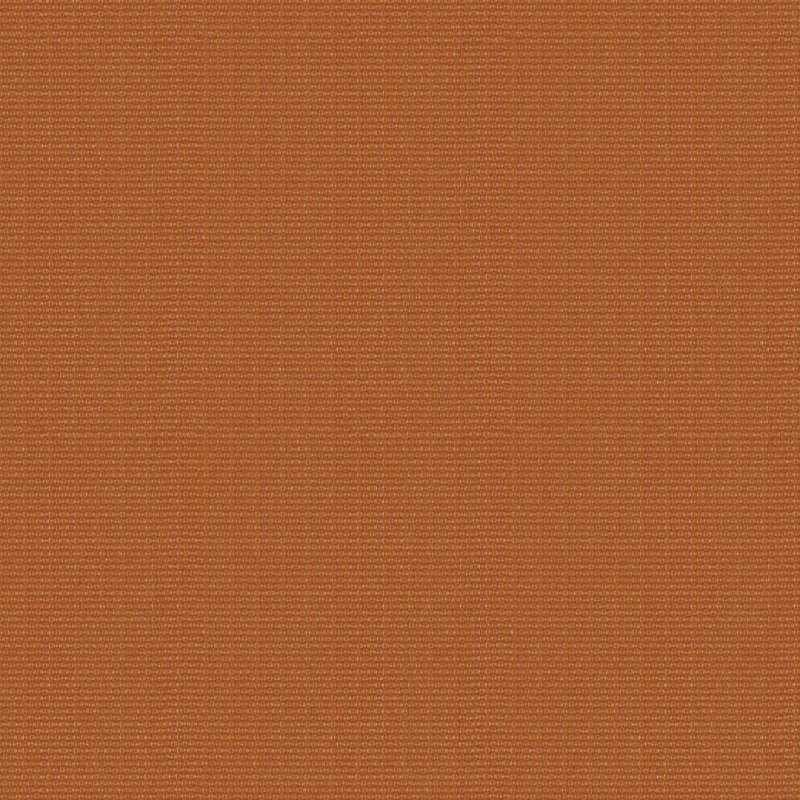 Tailored #5 Tangerine