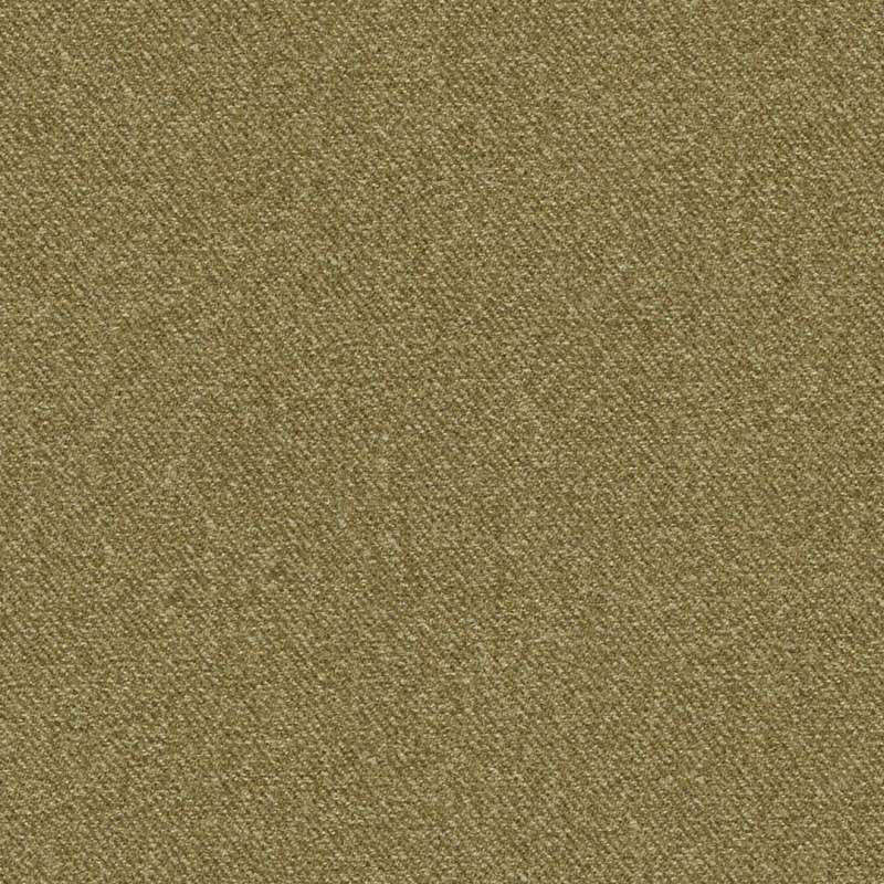 Transform #10 Kiwi