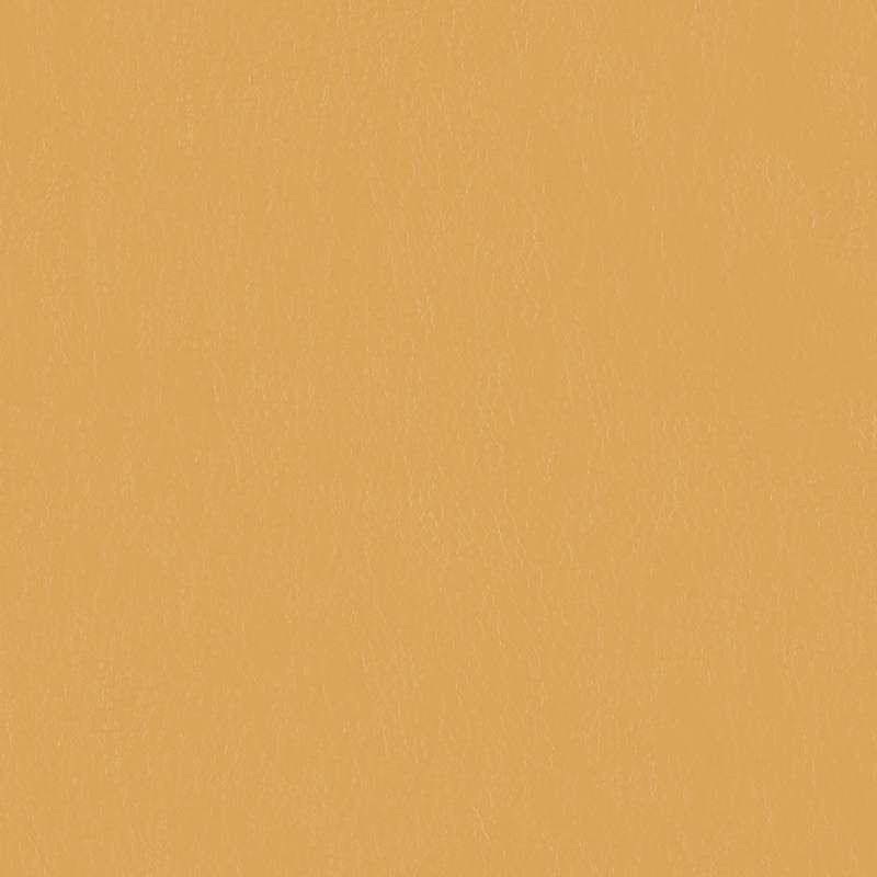 Stallion #7 Butterscotch