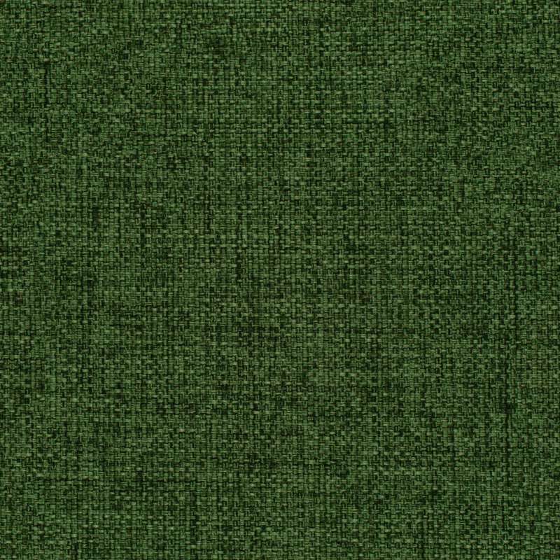 Equinox #13 Forest