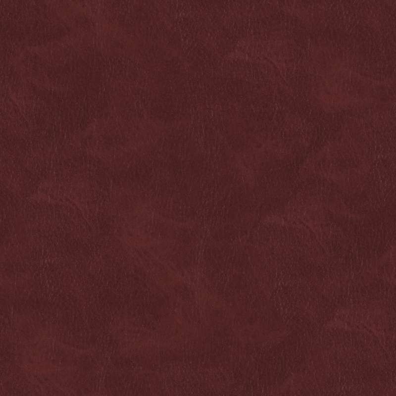 Mustang #10 Garnet