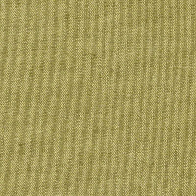 Adagio Wild Rye