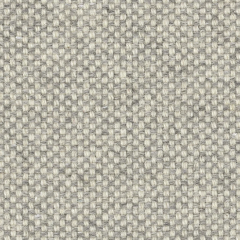 Checker Asteroid