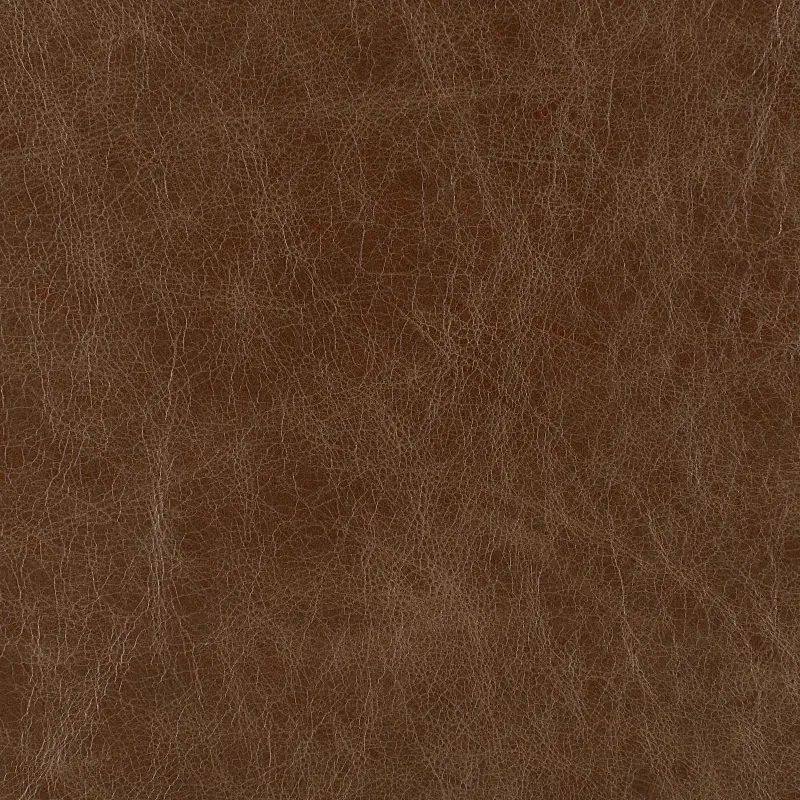 Aviator Leather Wingspan