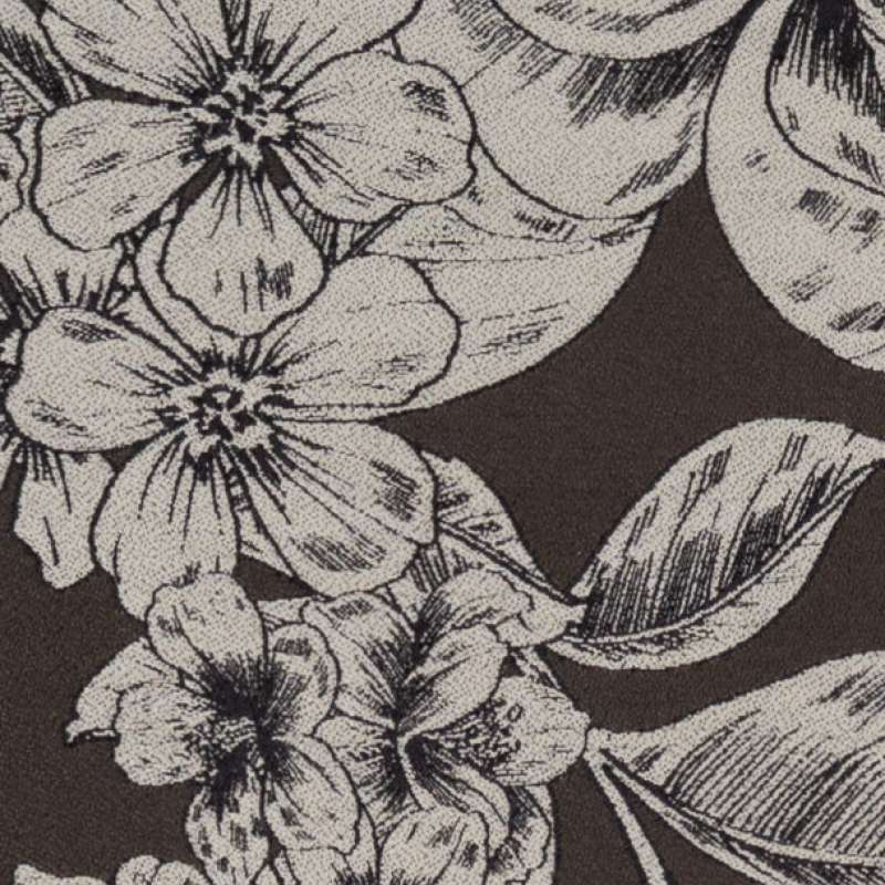 Bloom Dogwood