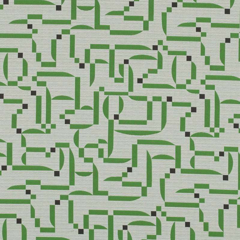 Burkina Grass