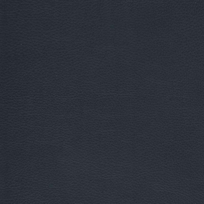 Caressa Navy