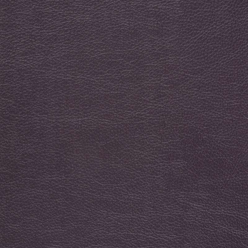 Caressa Aubergine