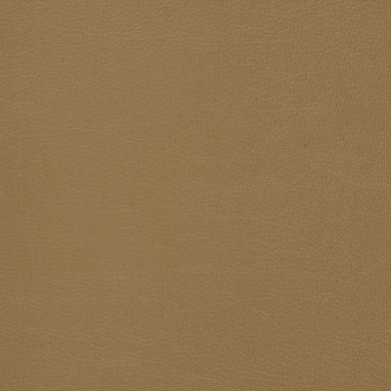 Caressa Mojave