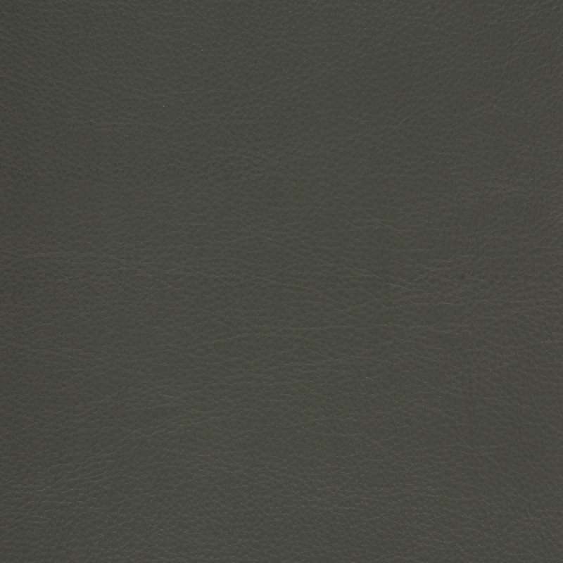 Mojave Pewter
