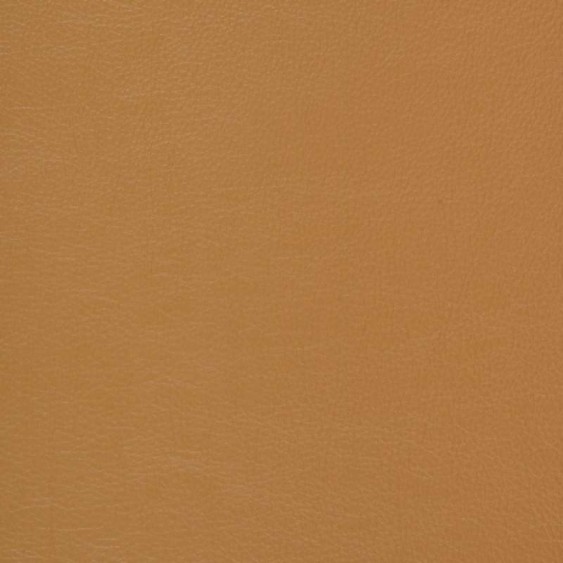 Caressa Ochre