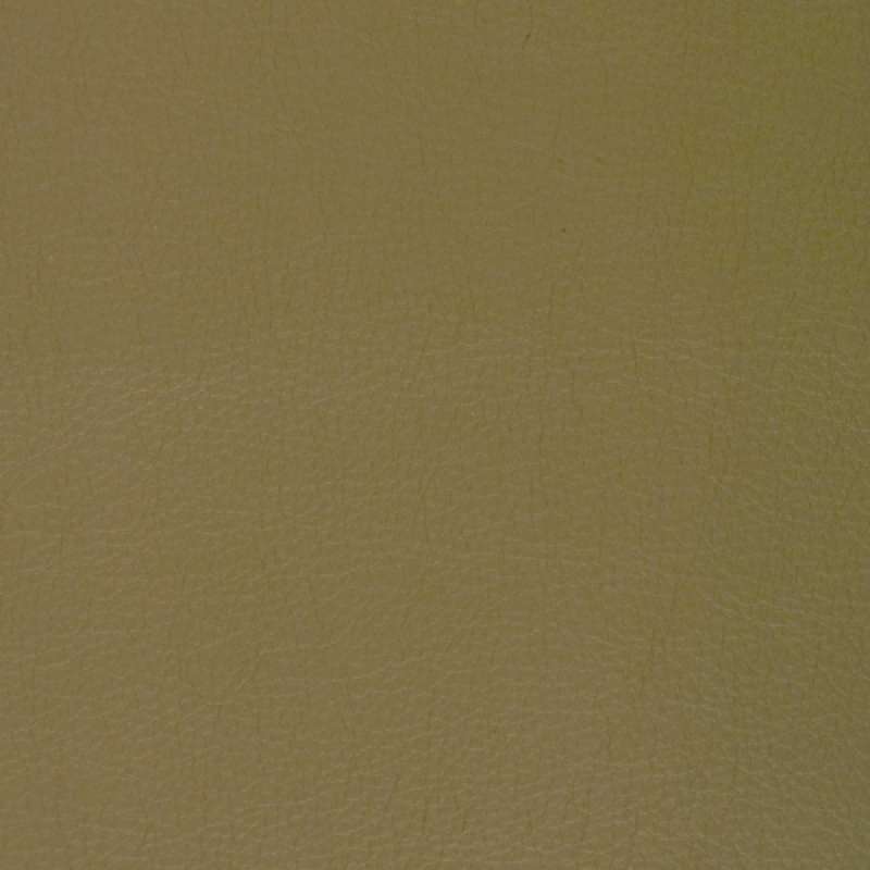 Caressa Taupe