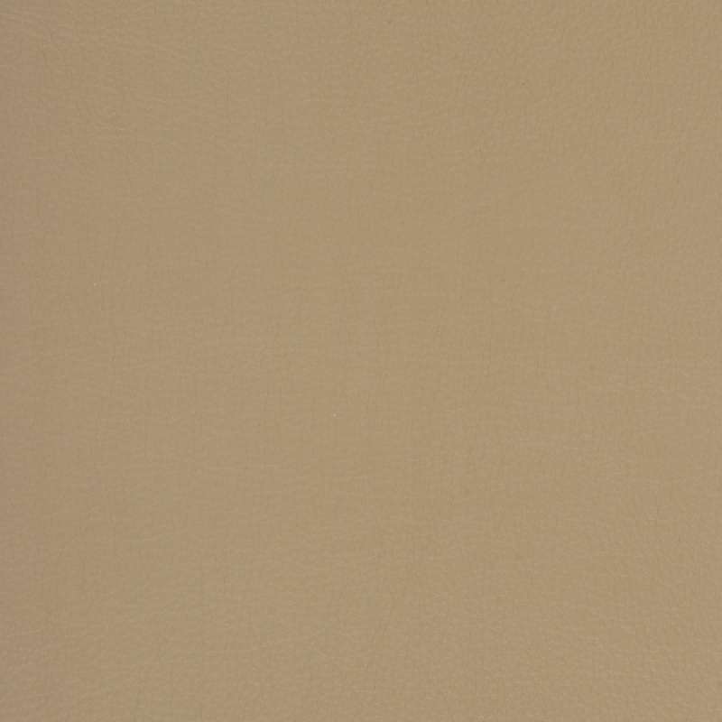 Caressa Papyrus