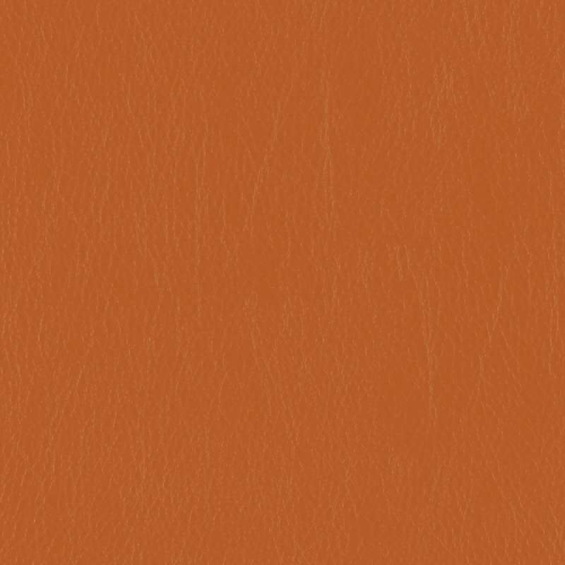 Caressa Tangerine