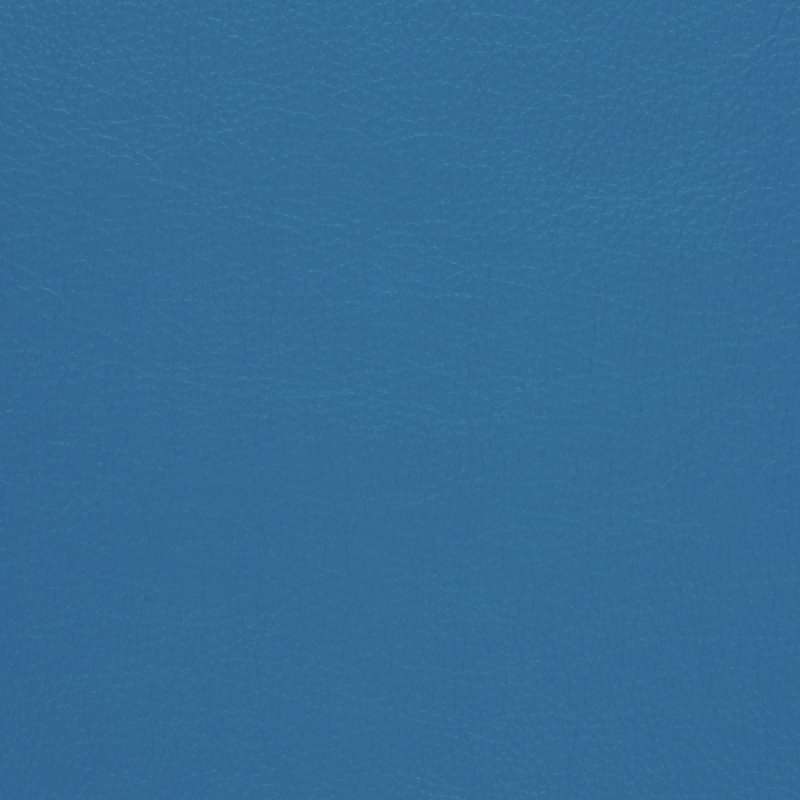 Caressa Cerulean