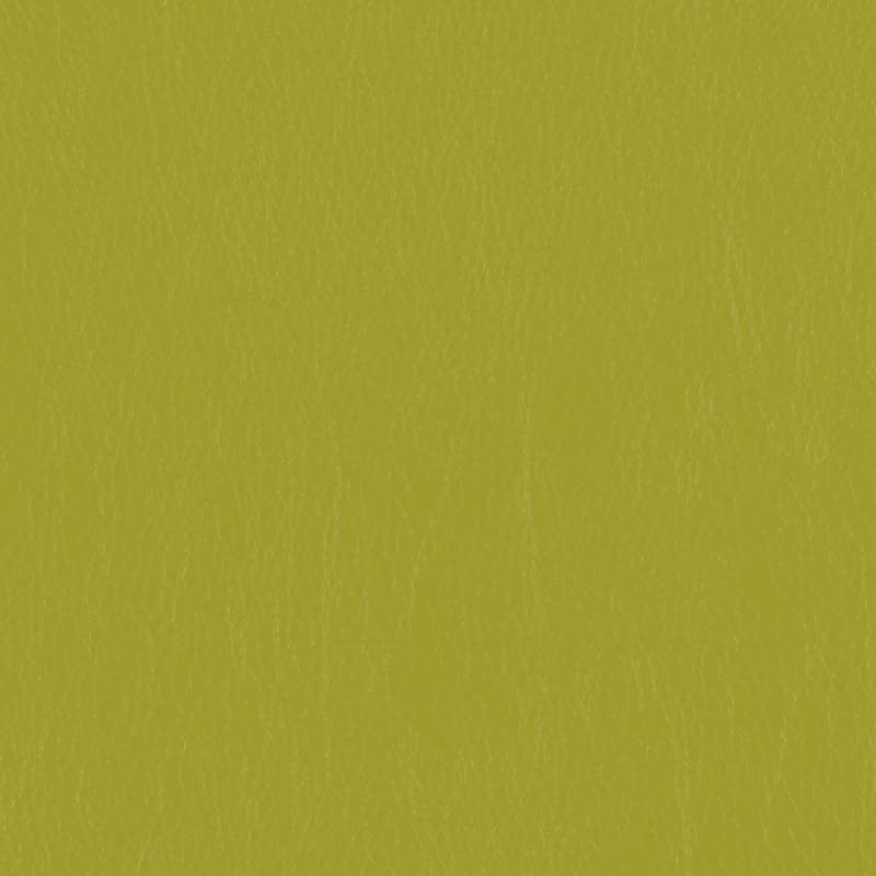 Caressa Lime