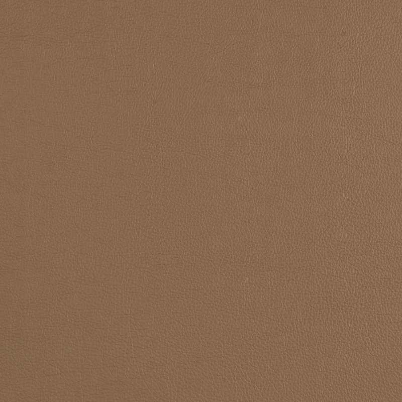 Cassidy 2.0 Tumbleweed