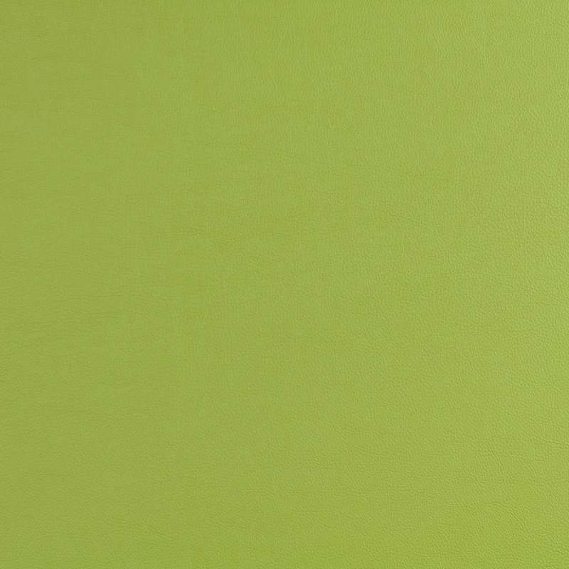 Cassidy 2.0 Lime