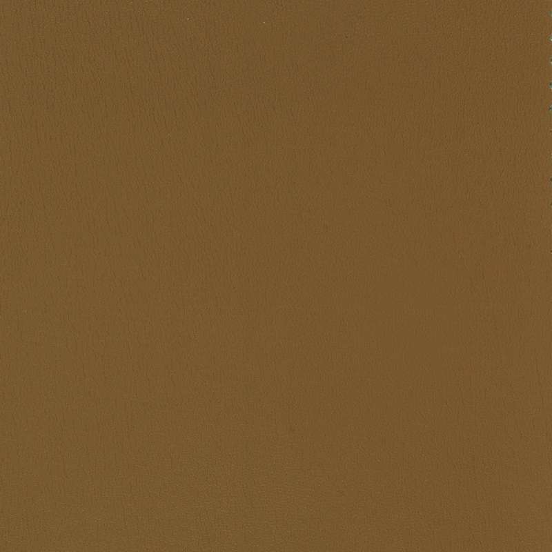 All Seasons Allspice
