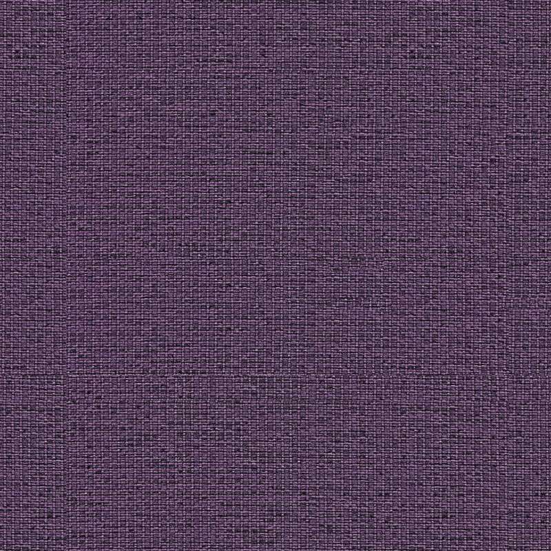 Gravity Lavender 