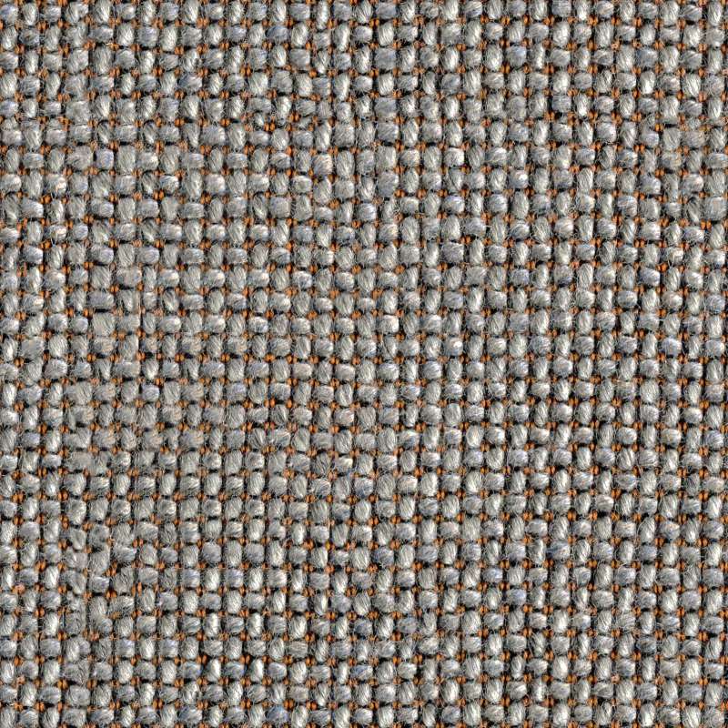 Craggan Flax Bracken
