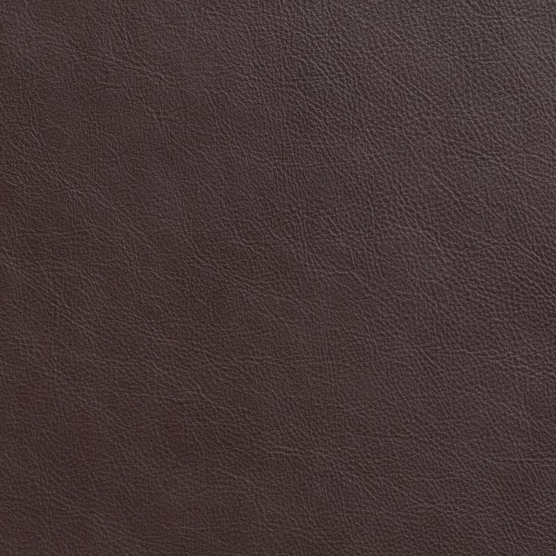 Cafe Leather Fig