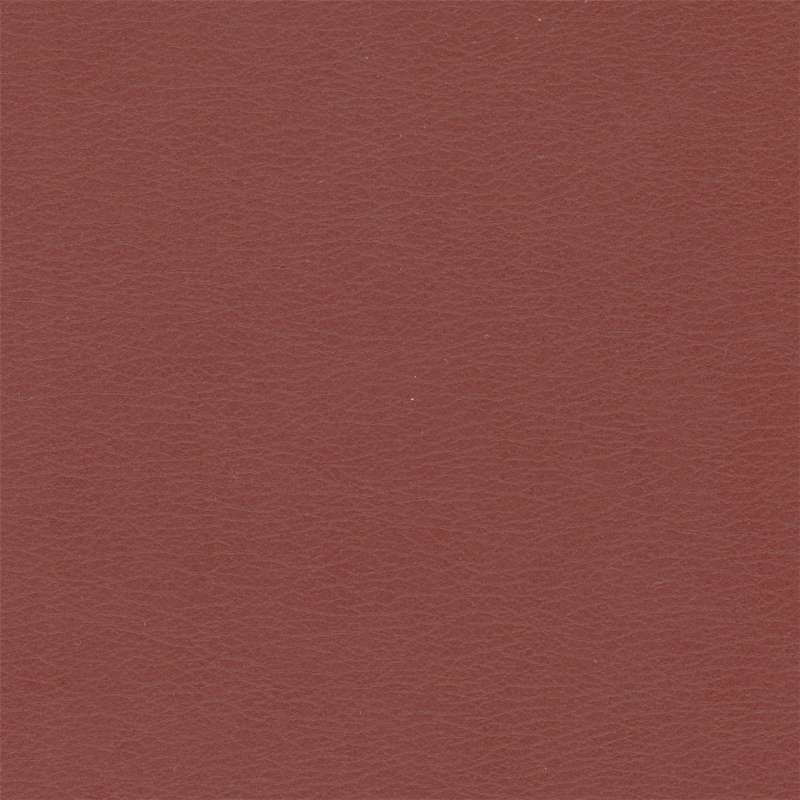 Calf Oxblood