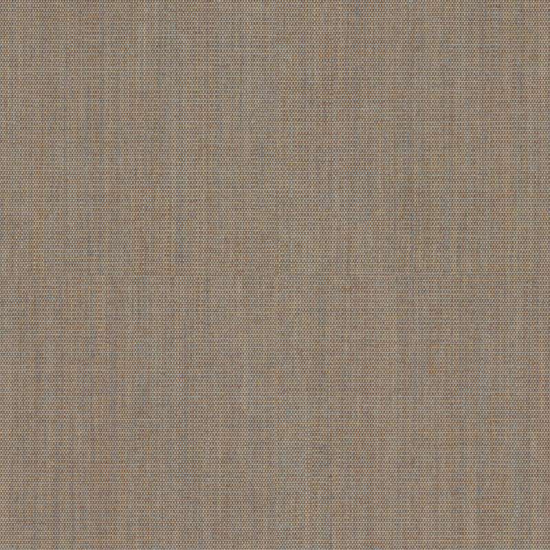 Canvas 2 244