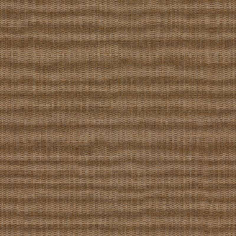 Canvas 2 254
