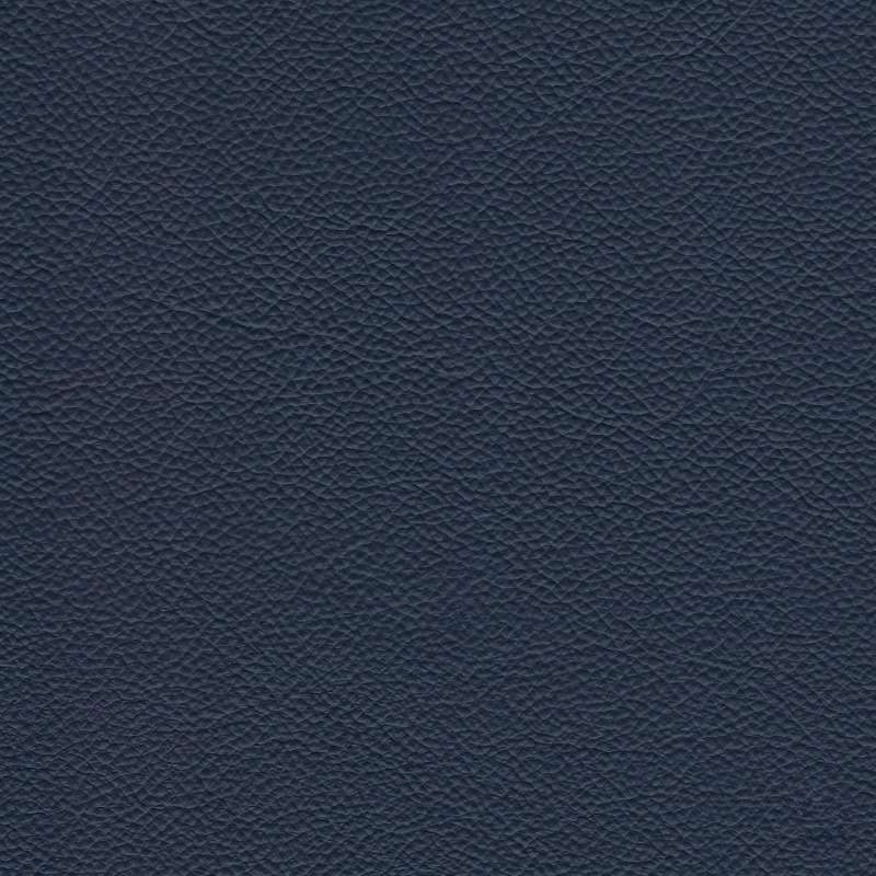 Catalina Leather Atlantis