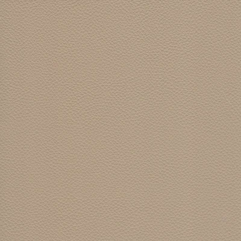 Catalina Leather Latte