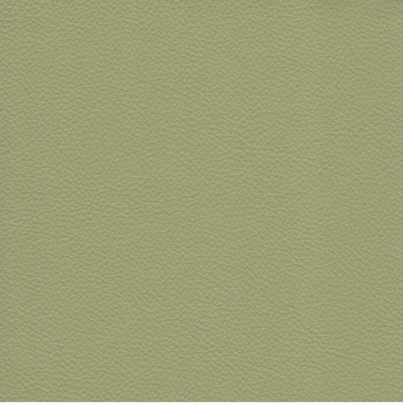 Catalina Leather Lemon Verbena