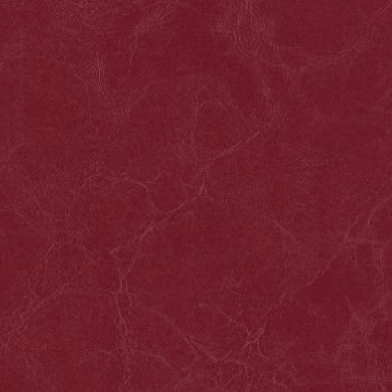Celebrity Cv Carmine