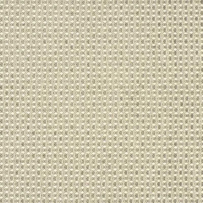 Complex Pebble