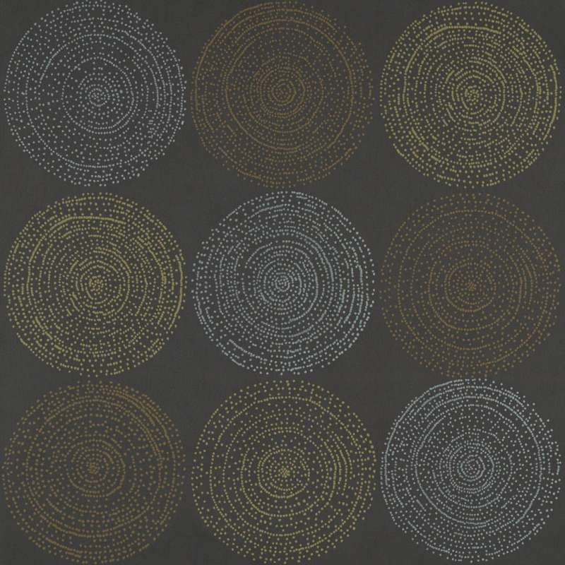 Cosmos Charcoal