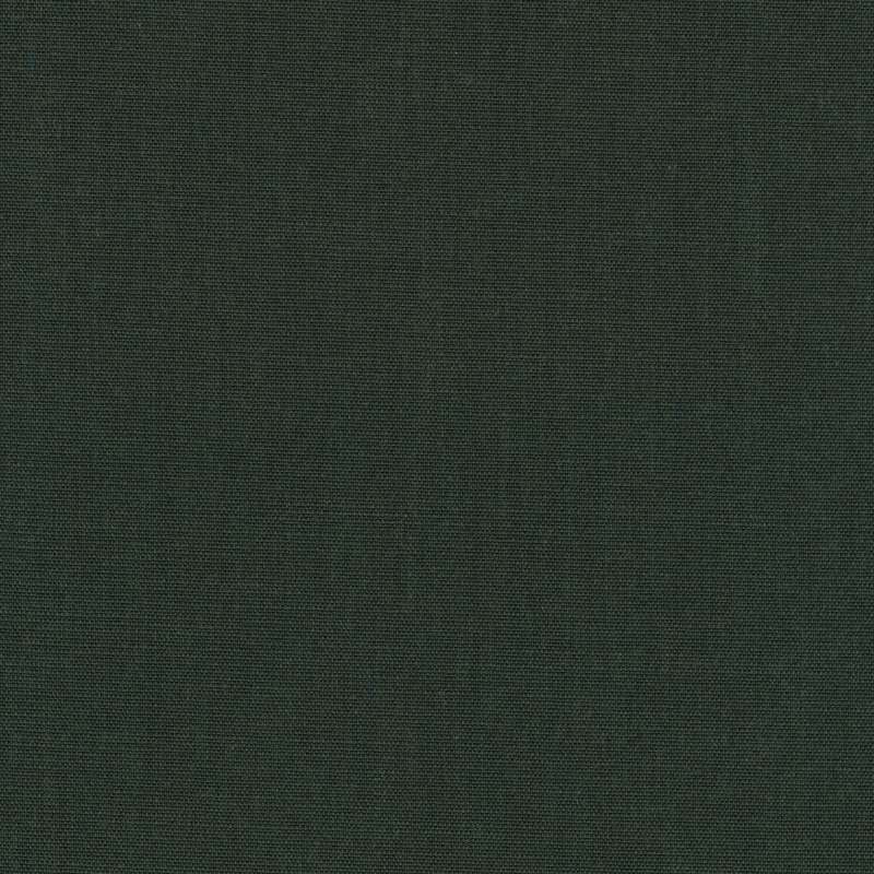 Canvas 2 0996