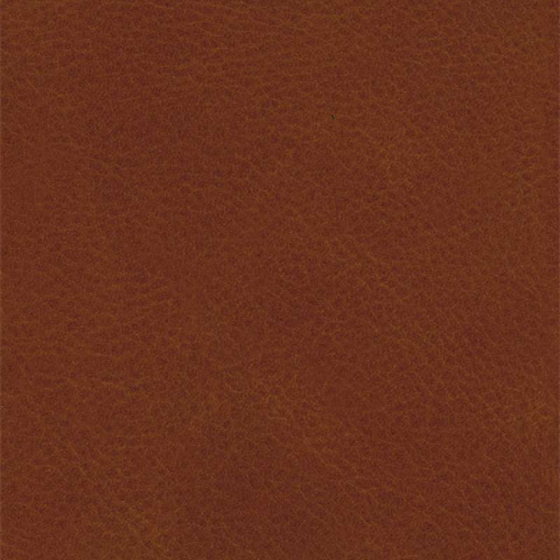 Dakar Leather Zucchero Di Canna