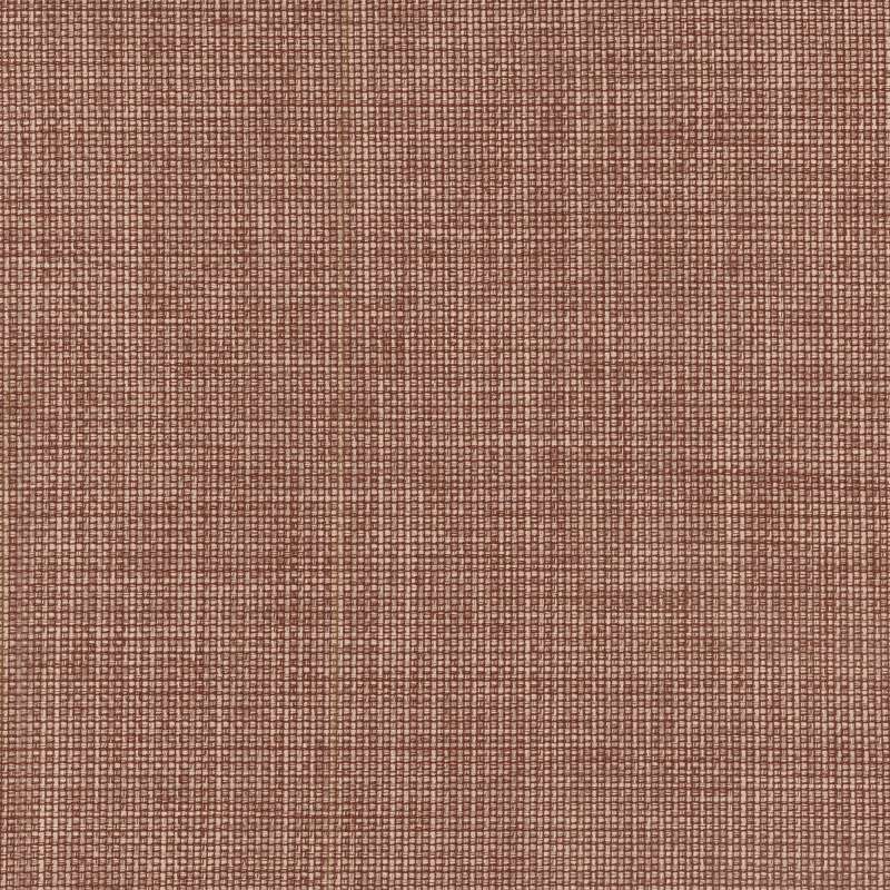 Denim Wash Cinnamon Sugar