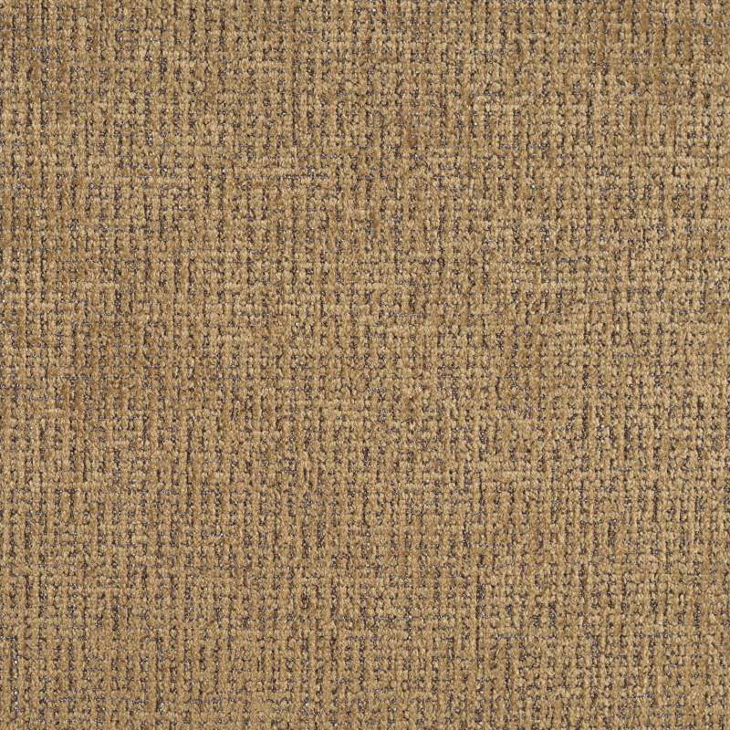 Big Texture Camel