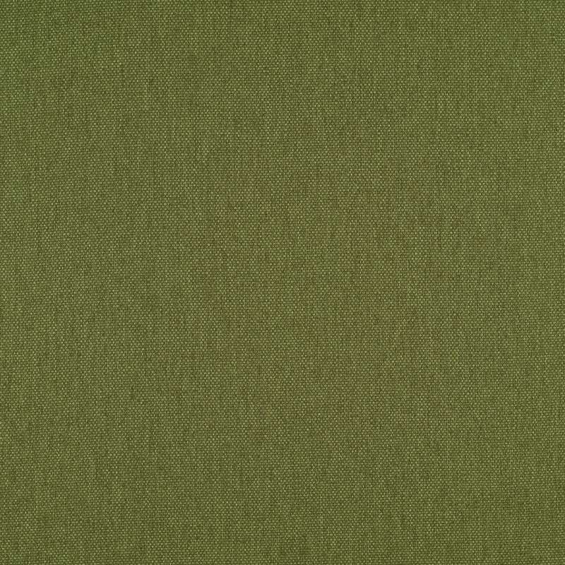 Birdseye Fern Green
