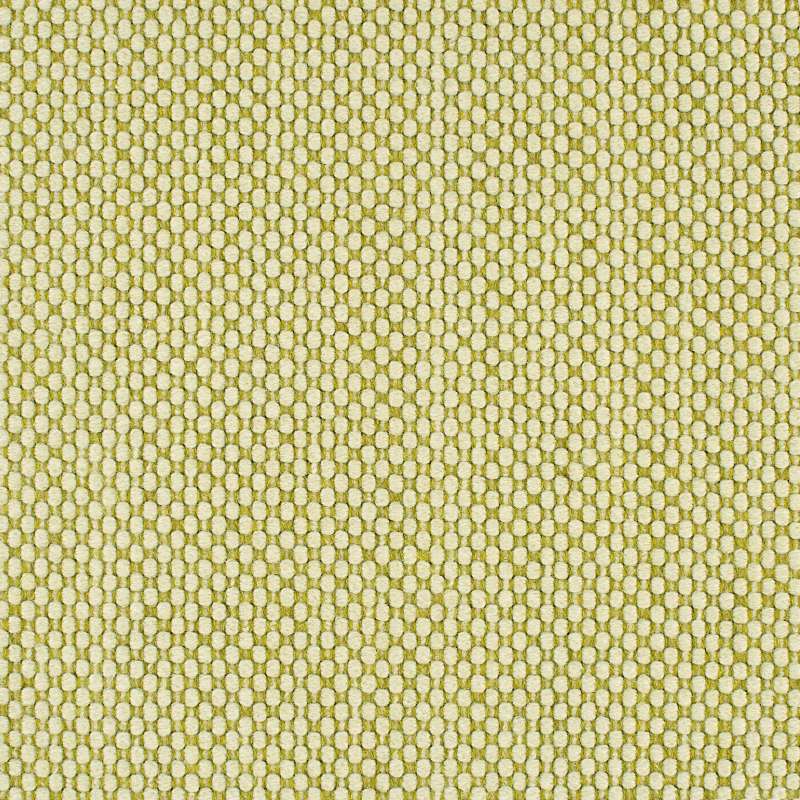 Double Stitch Anis