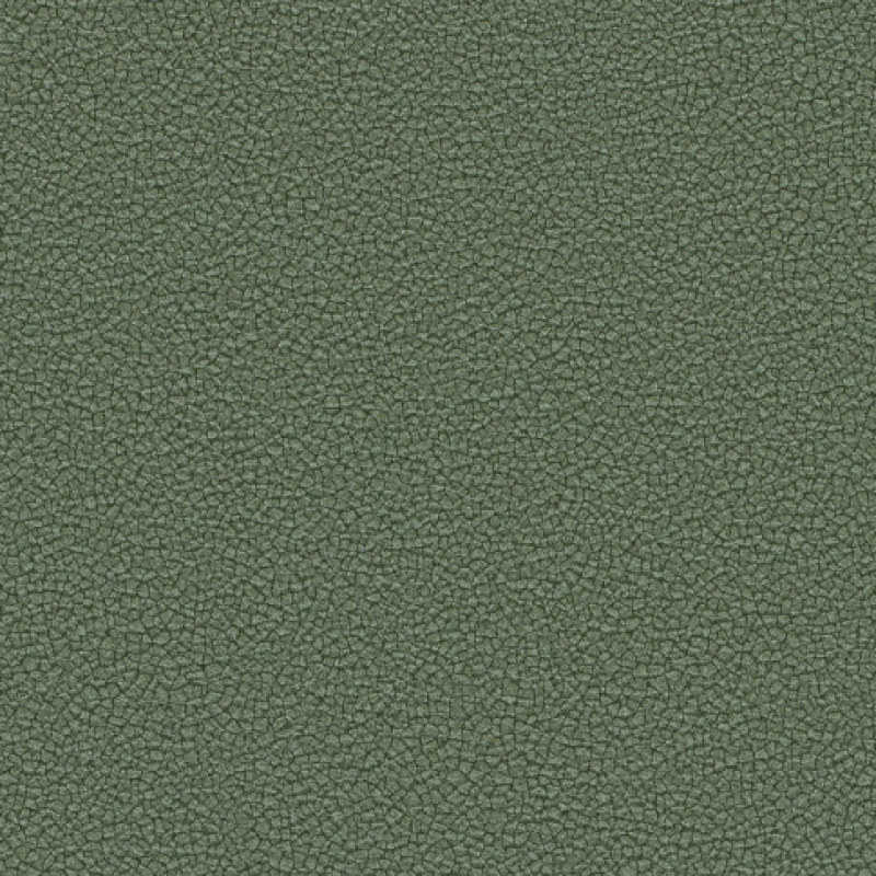 Dune Glade