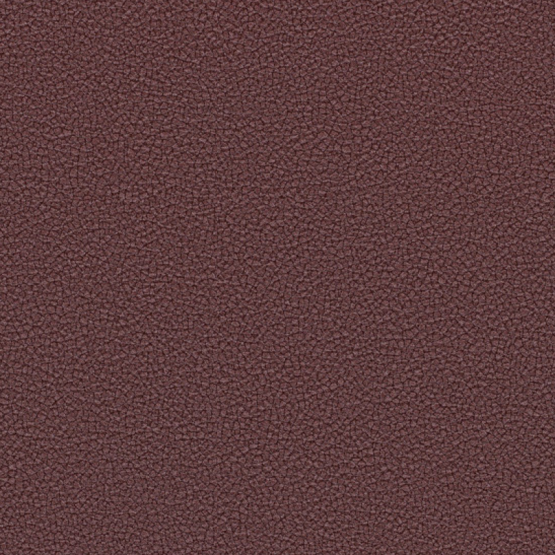 Dune Mars
