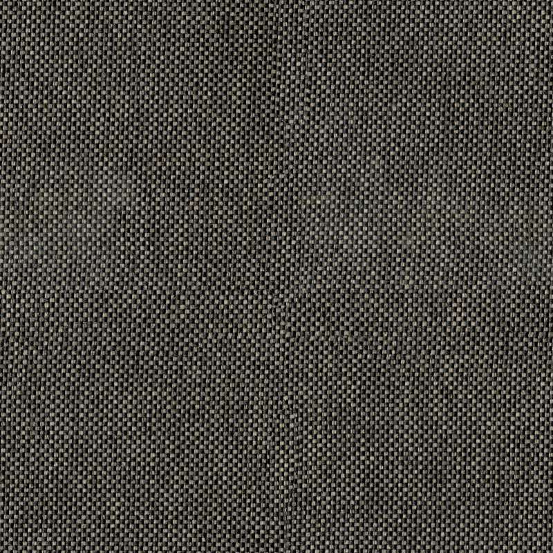 Rivet Otter
