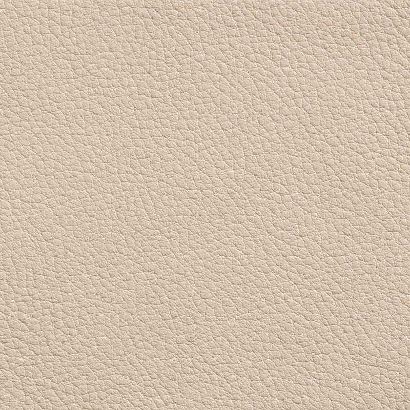 Elmorustical Leather 22679