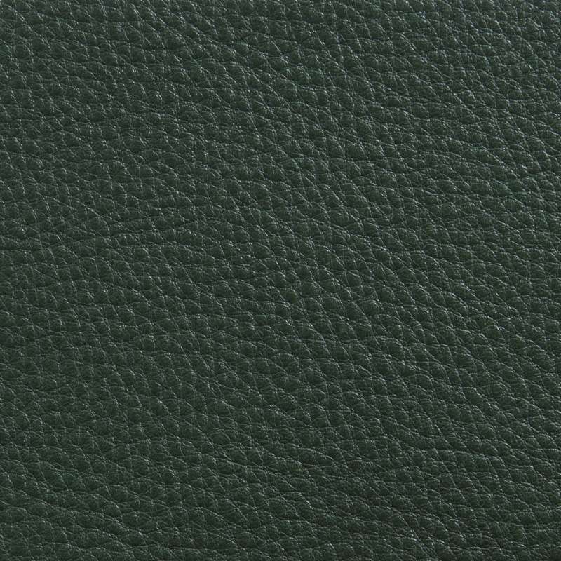 Elmorustical Leather 88010