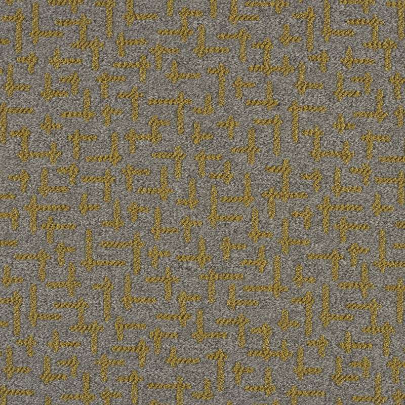Enriched Boucle Turmeric
