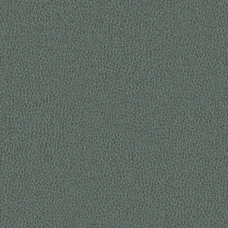Ethos Polaris